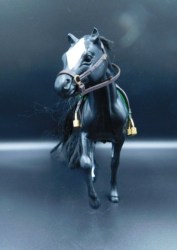 horse black marchon front